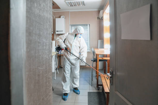 Best Industrial Mold Remediation  in Boulevard Gardens, FL