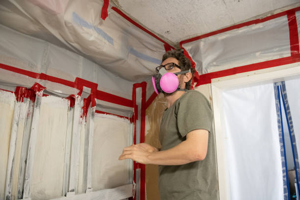 Best Black Mold Removal  in Boulevard Gardens, FL