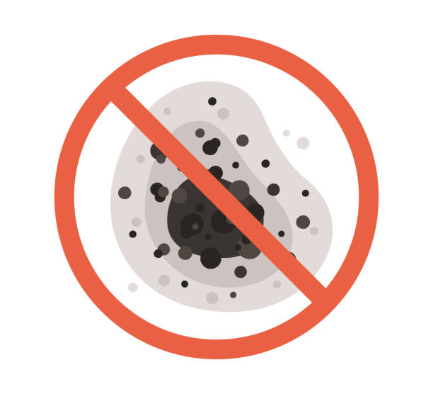 Professional Mold Removal in Boulevard Gardens, FL