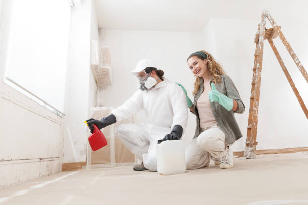 Best Emergency Mold Remediation  in Boulevard Gardens, FL