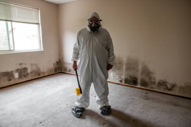 Forensic Mold Investigation in Boulevard Gardens, FL